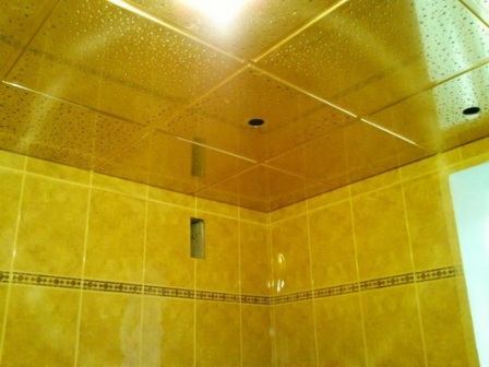 зеркальные потолки для ванной