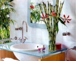 Растения и цветы для ванной комнаты : интересное решение интерьера